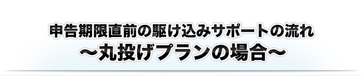 申告期限直前の駆け込みサポートの流れ　～丸投げプランの場合～