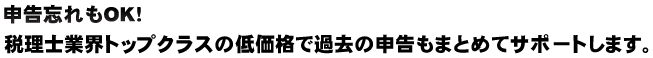 申告忘れもOK！税理士業界トップクラスの低価格で過去の申告もまとめてサポートします。