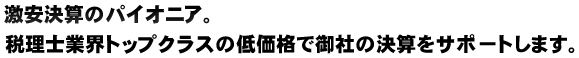 激安決算のパイオニア。税理士業界トップクラスの低価格で御社の決算をサポートします。