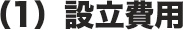 （1）設立費用