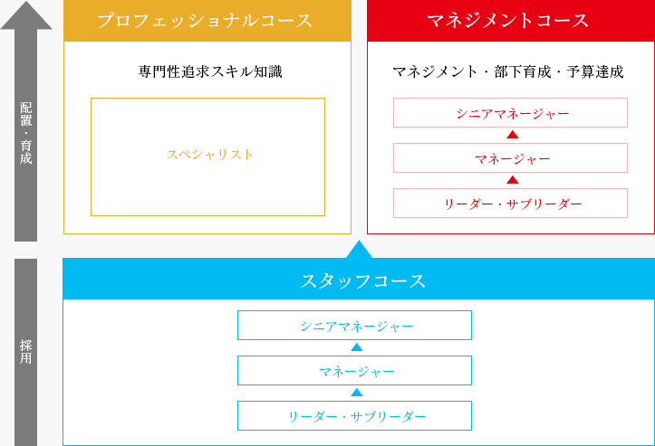 キャリアパスモデル